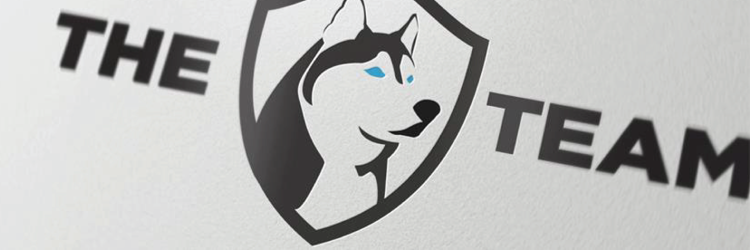 The Team, Inc. (The_Team_Inc) Twitter