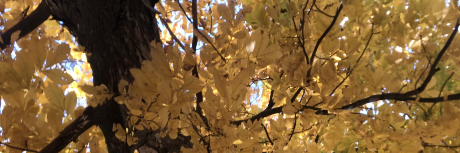 KimGodinez1's profile banner image
