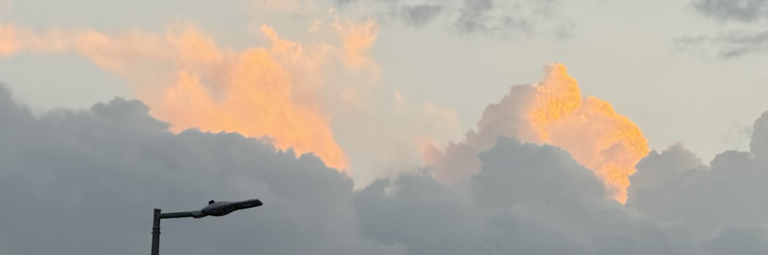 ReemIntheHouse's profile banner image