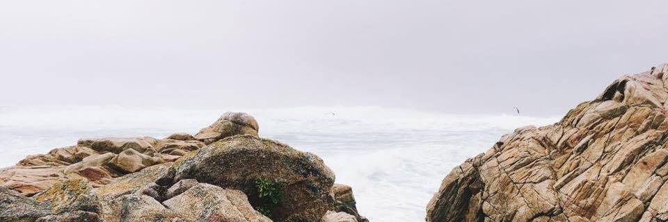 Tammy Cho banner