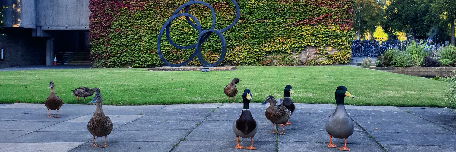 Churchill College banner