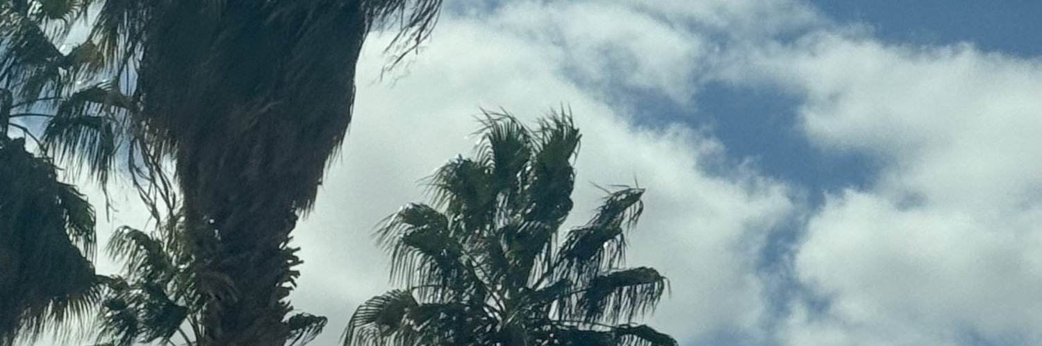 aaaalkaaa's profile banner image