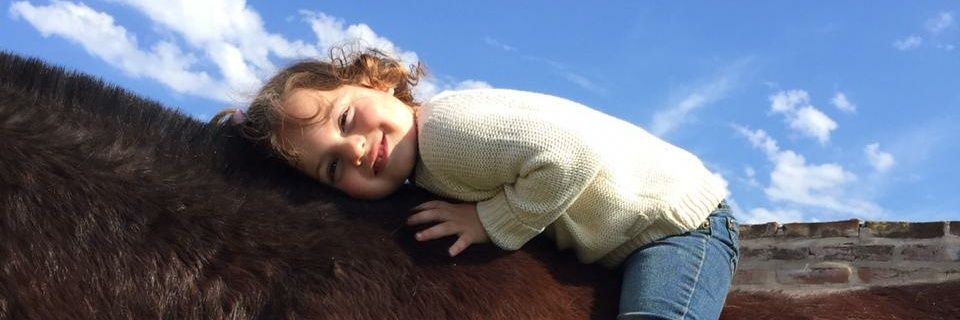 valentinlemos_'s profile banner image