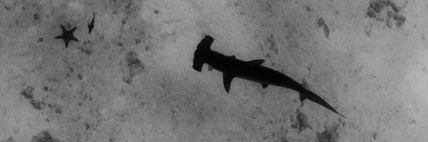 JSAudette Profile Banner