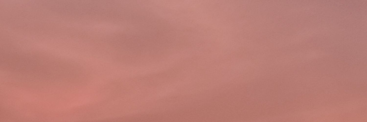 SamosaKapoor's profile banner image