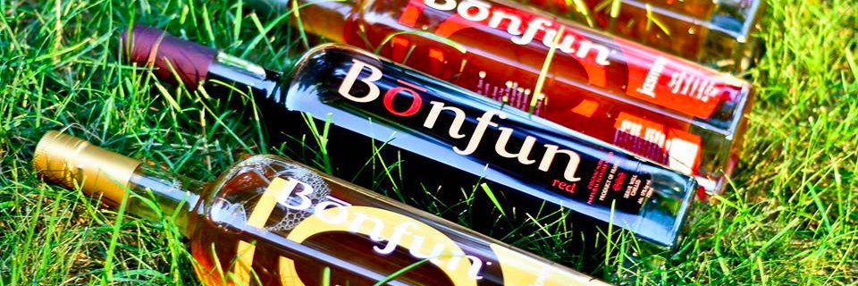 DoYouBonFun's profile banner image