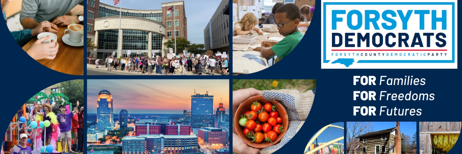 ForsythDemsNC's profile banner image