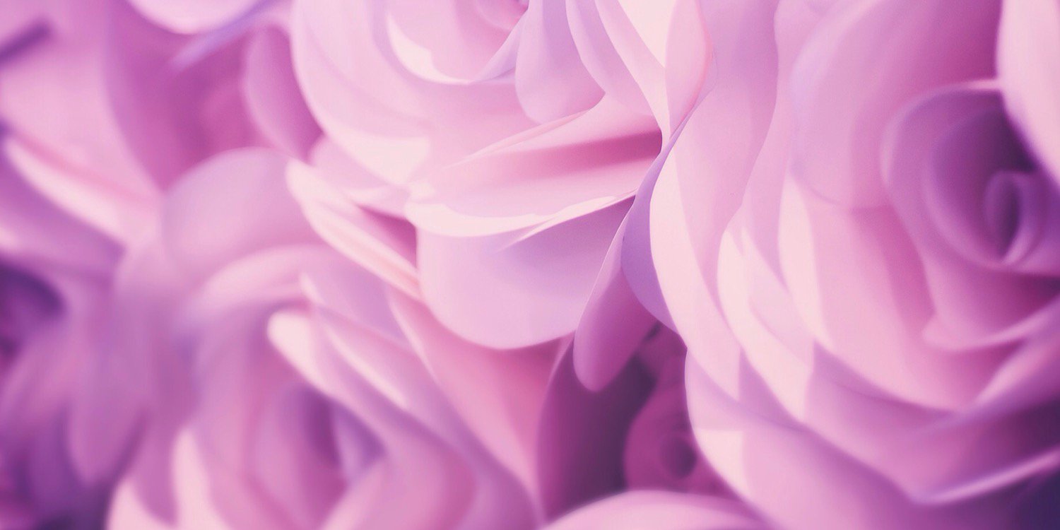 roserosy03's profile banner image
