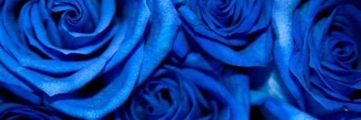 RGM_87's profile banner image