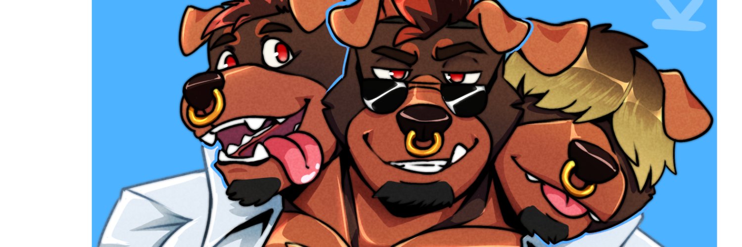 Noka banner
