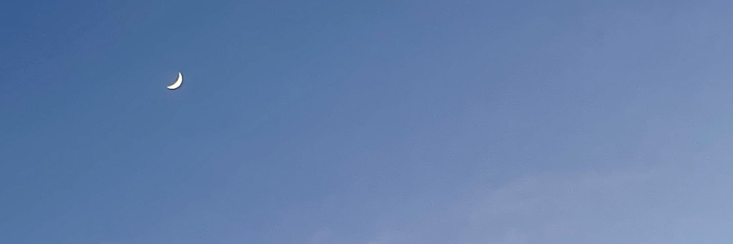 dubstepbuttplug's profile banner image