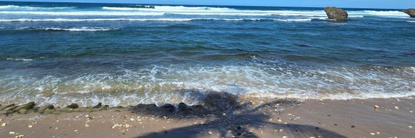 r_felice Profile Banner