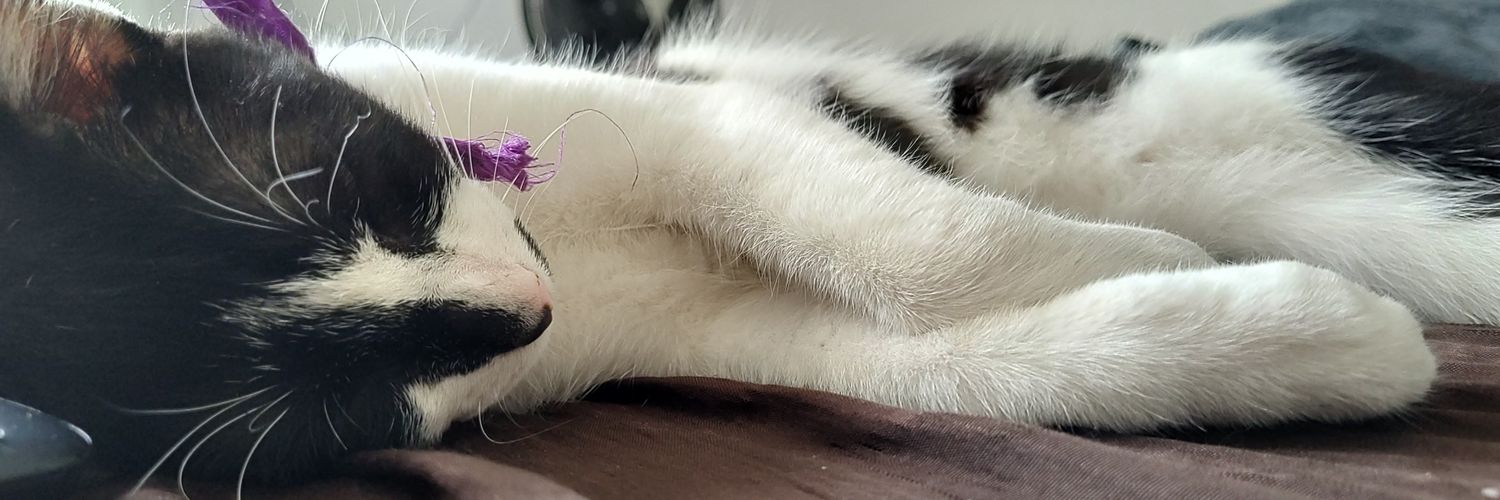 Just_AnotherLes's profile banner image