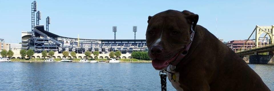 ChrisThomp05's profile banner image