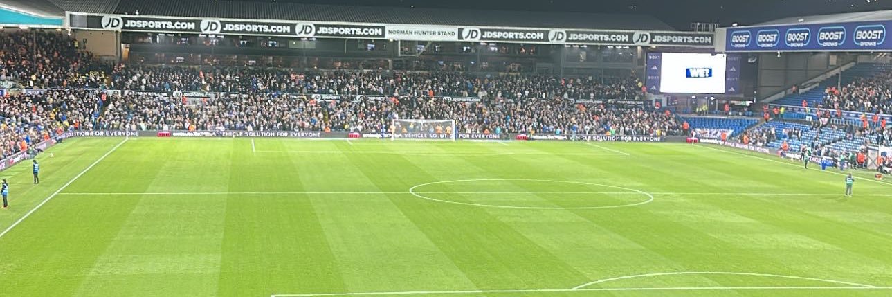 Bellis banner