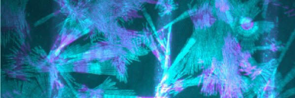 imacatphysicist Profile Banner