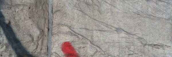 wiebkehollersen Profile Banner