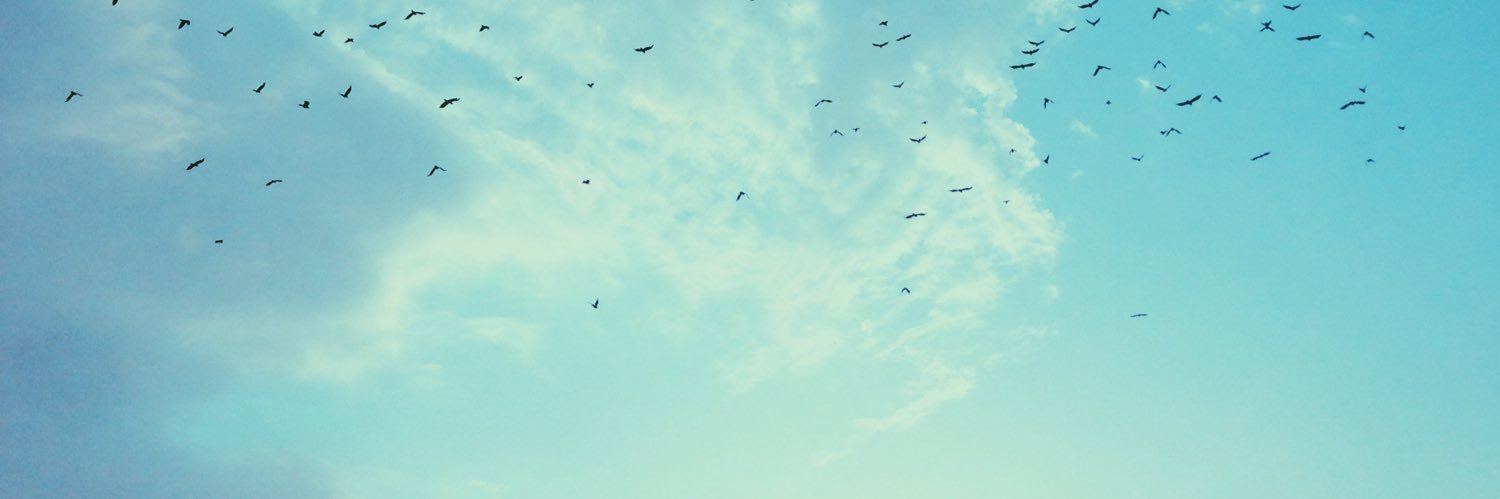 SoftSouI's profile banner image