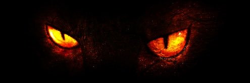 _ProjectBabyyy's profile banner image