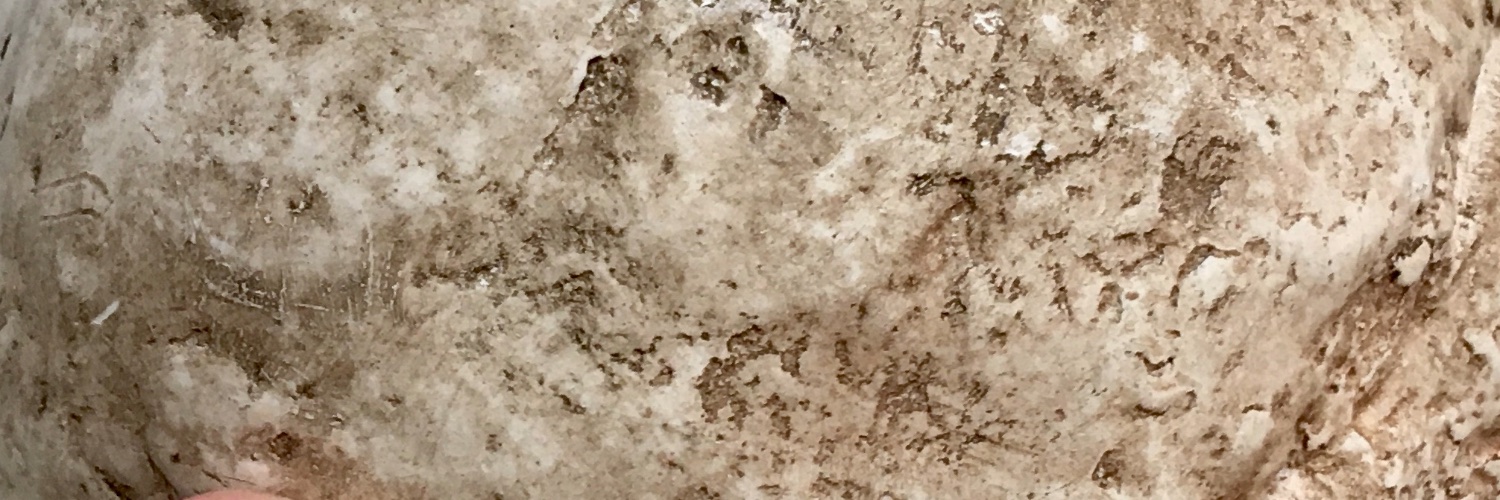 silkbound's profile banner image