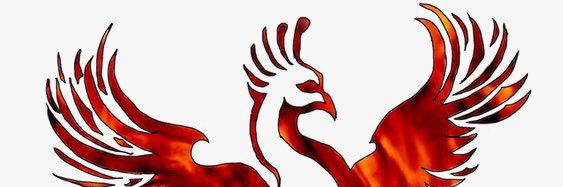 EiraGarciaG's profile banner image