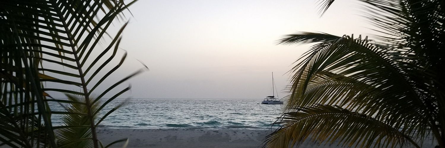 beajentsch's profile banner image