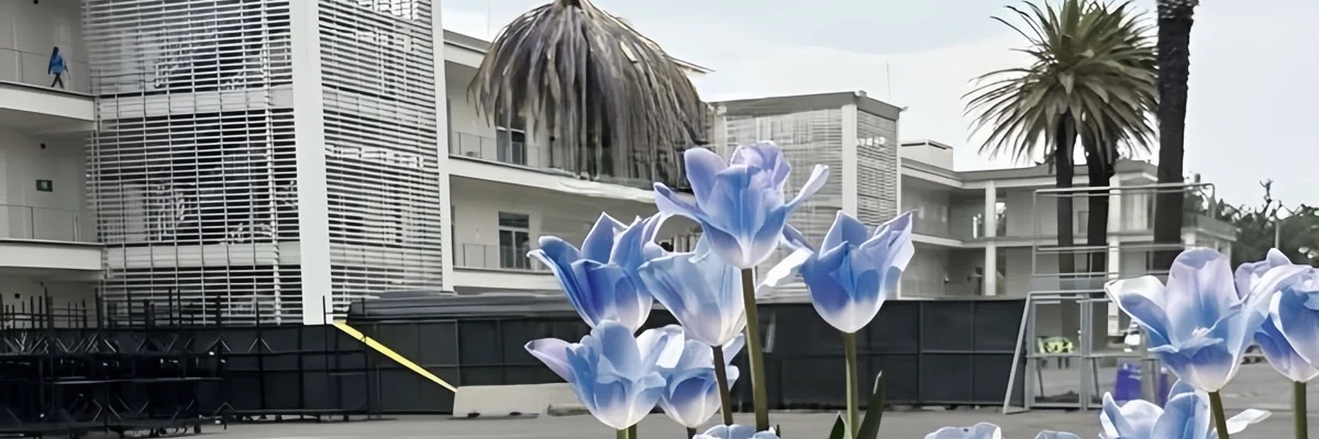 sanusec's profile banner image