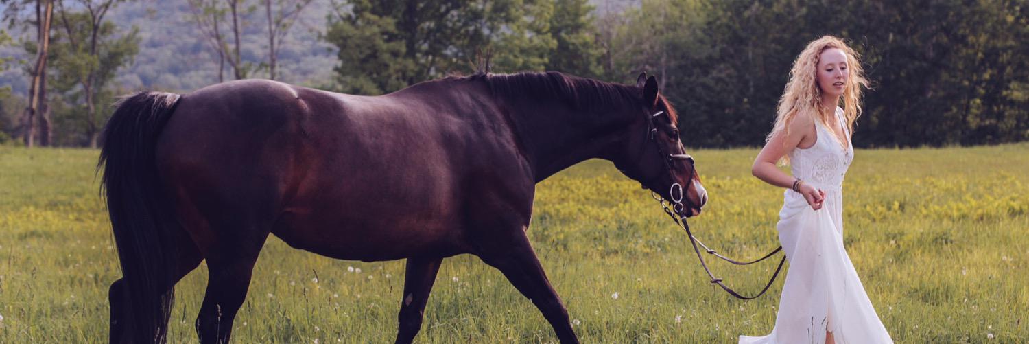 Bitcchponyprobb's profile banner image