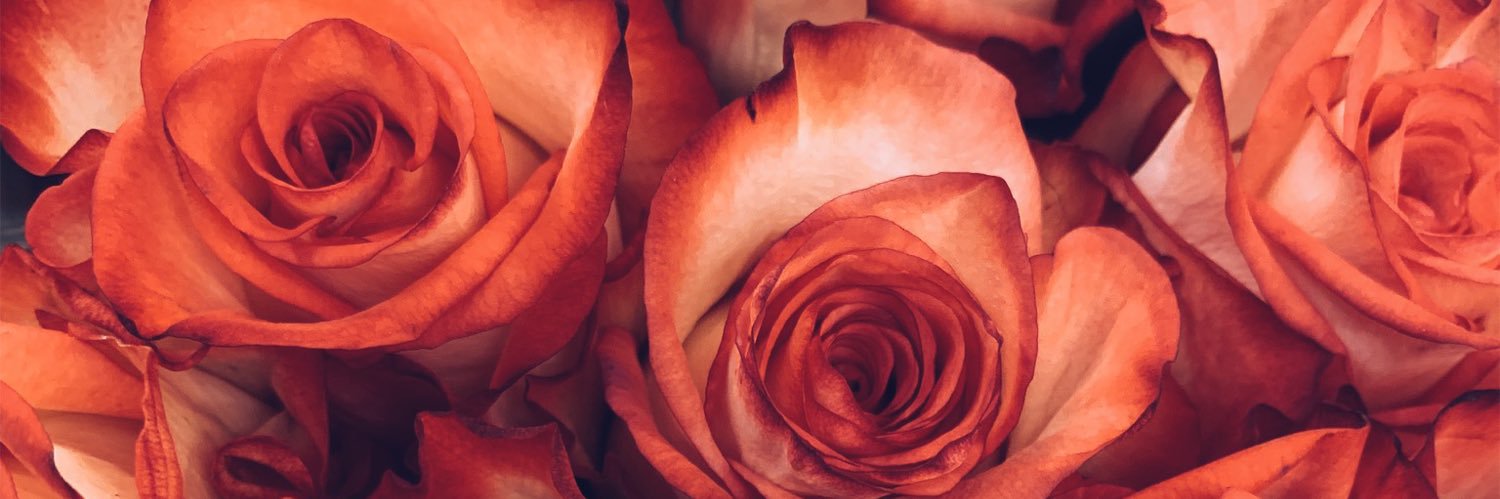 mmmminh's profile banner image
