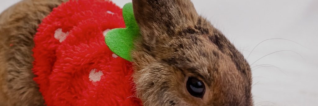AdeliMR's profile banner image