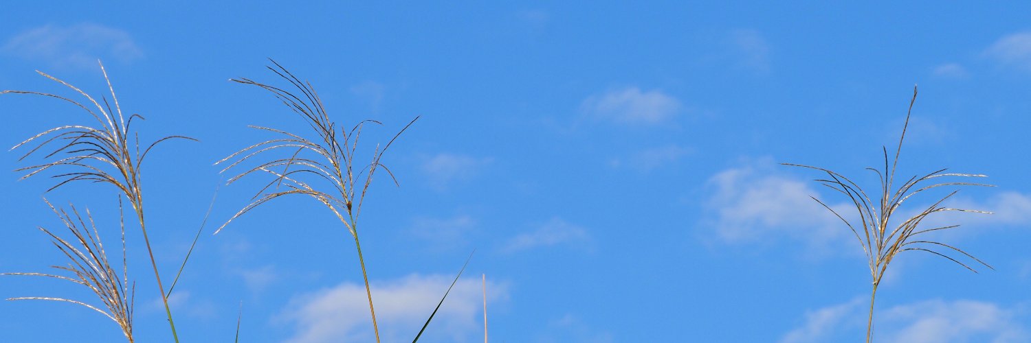 yauldabyde's profile banner image