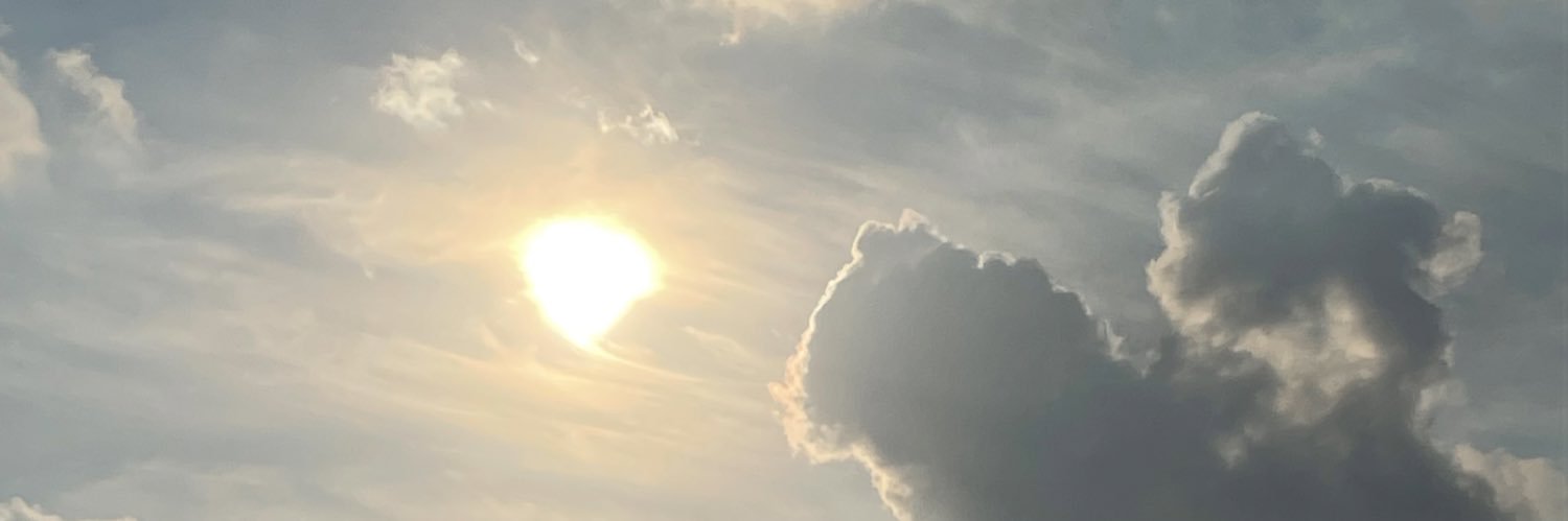 m_hartwig's profile banner image