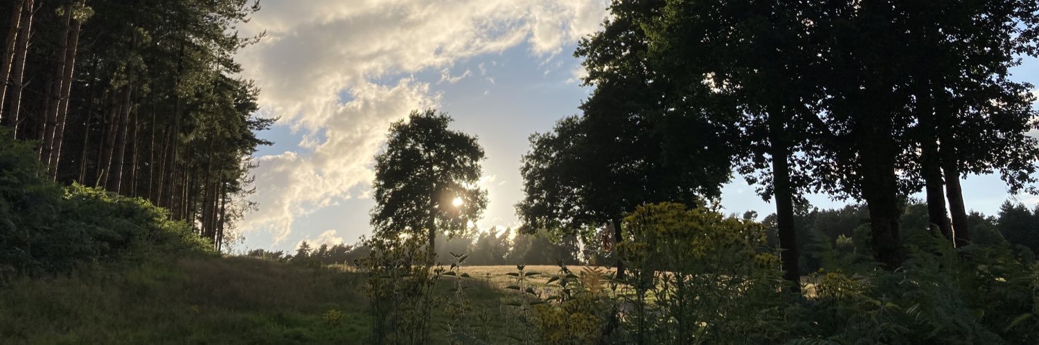 willdavies01's profile banner image