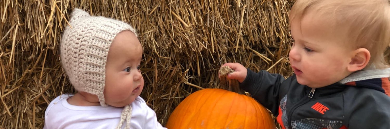 Forensic Audit banner