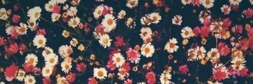 idzi_'s profile banner image
