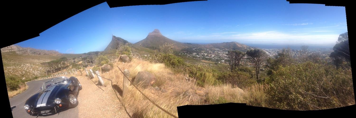 susan ansley johnson banner