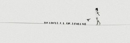 🕊️ banner