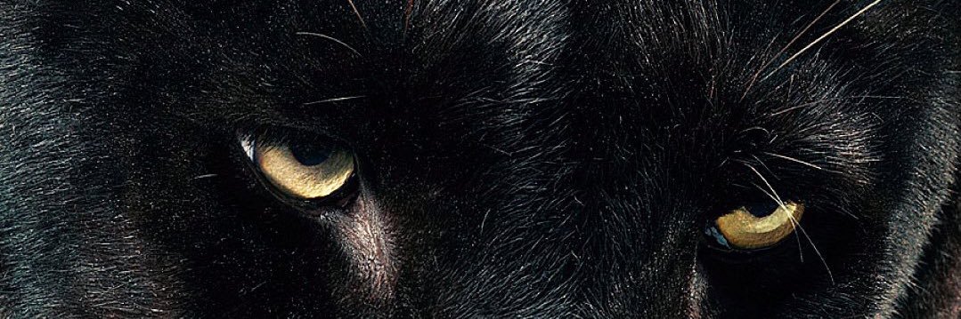 RatinguerZ's profile banner image