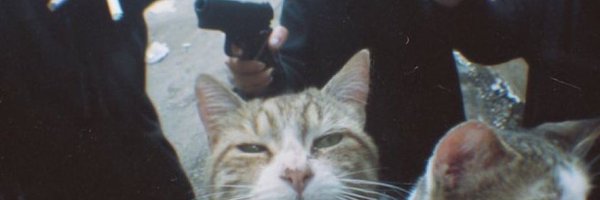 HyoudouIsse Profile Banner