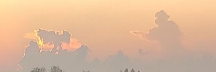 LUVMYBZ's profile banner image