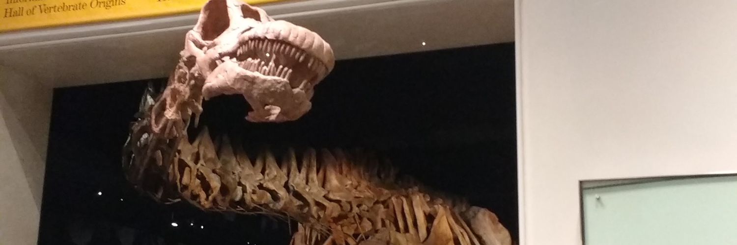 alexbotaarque's profile banner image