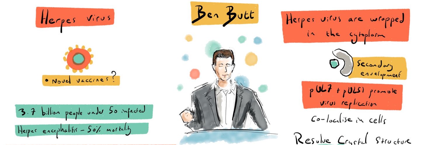 Ben Butt banner