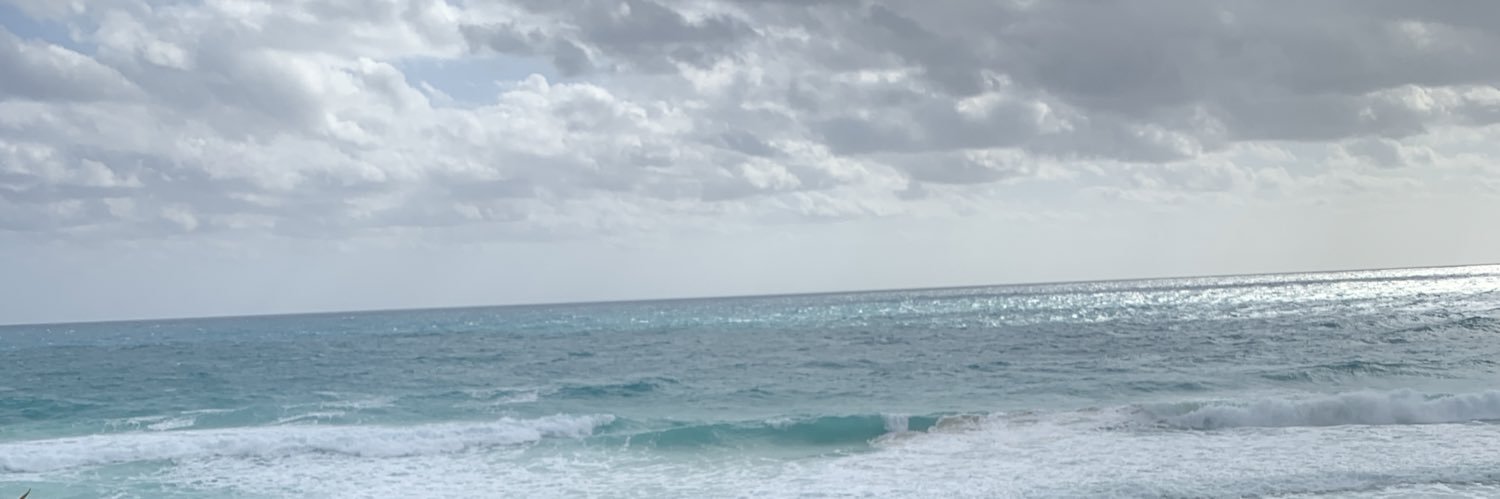 Jaaneelle_'s profile banner image