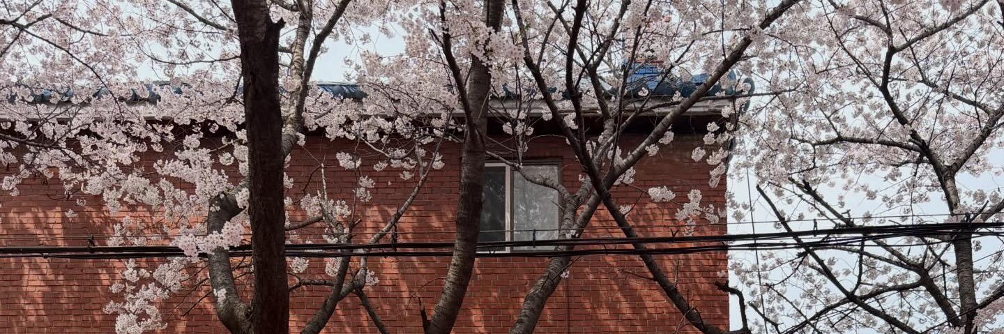 ᴄʀɪs คริส 𓁢 banner