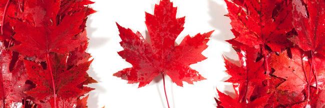 PrimeMinisterK's profile banner image