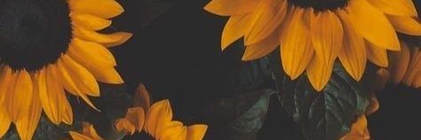 FlorFree's profile banner image