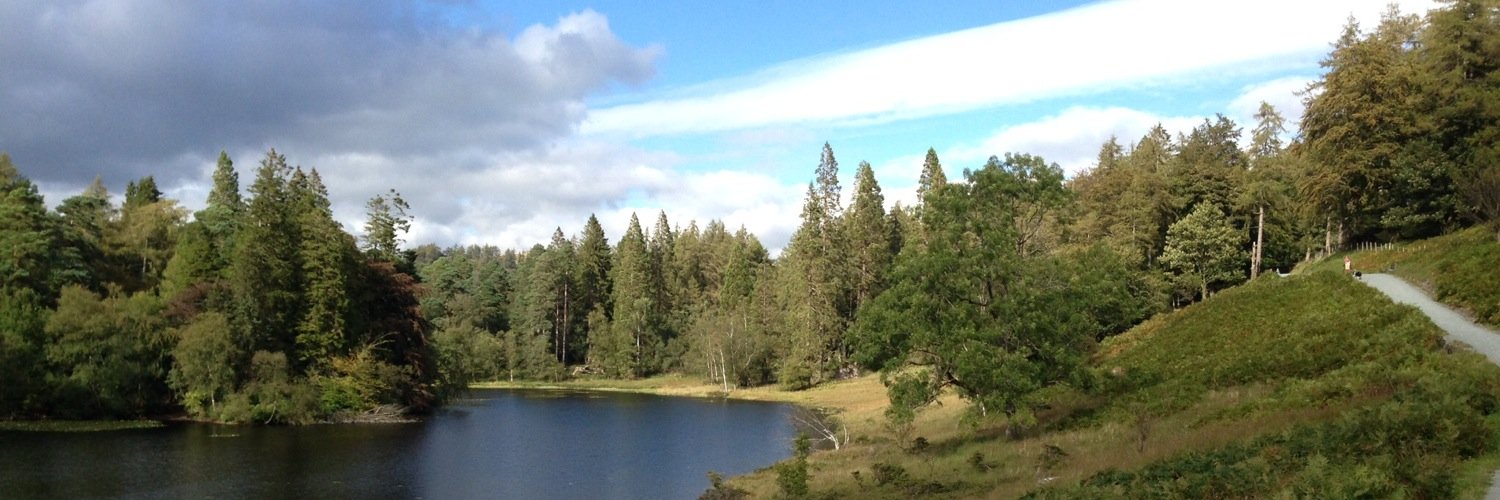 AlmondHelen's profile banner image