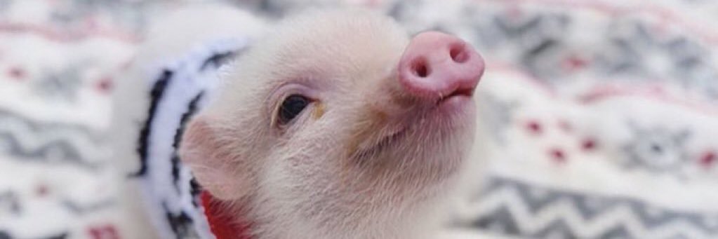 MuuurFi's profile banner image