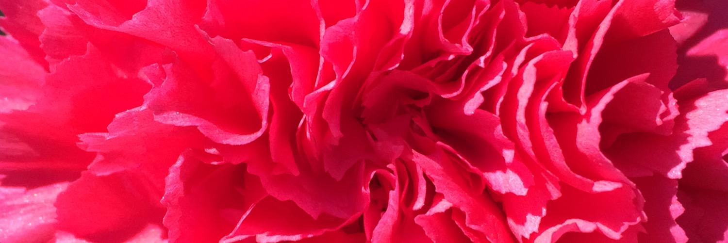HWilson1693's profile banner image