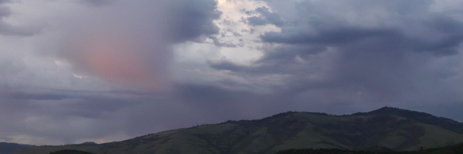 allipab's profile banner image